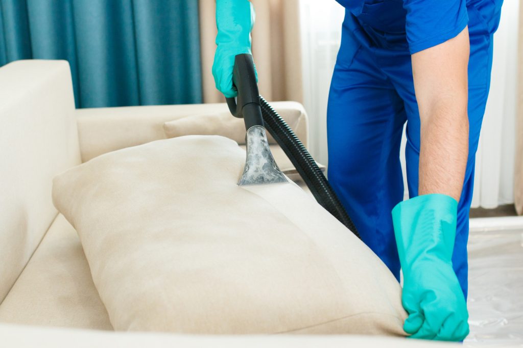 Sofa cleaning